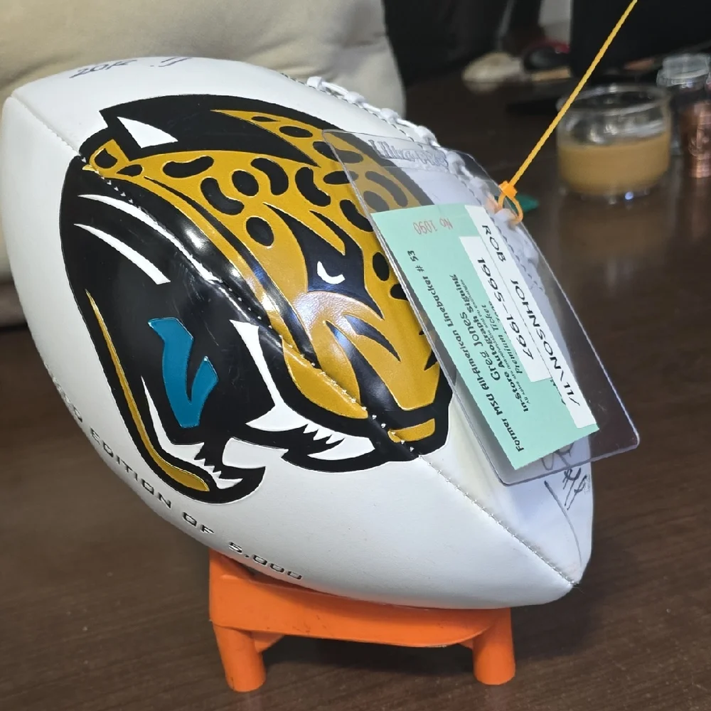 NFL Team Logo Football - White and Black
